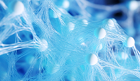 上海智瑞尔精密装备有限公司